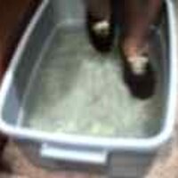 : Gallery : original : 2001 : 08 : T_wet113.jpg