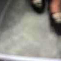  : Gallery : original : 2001 : 08 : T_wet115.jpg