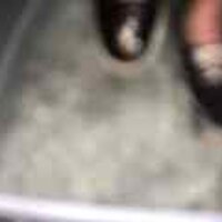  : Gallery : original : 2001 : 08 : T_wet116.jpg