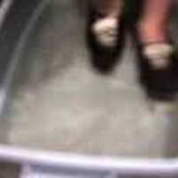  : Gallery : original : 2001 : 08 : T_wet117.jpg