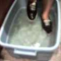  : Gallery : original : 2001 : 08 : T_wet120.jpg