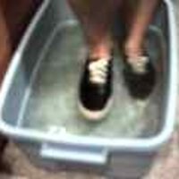  : Gallery : original : 2001 : 08 : T_wet122.jpg