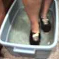  : Gallery : original : 2001 : 08 : T_wet123.jpg