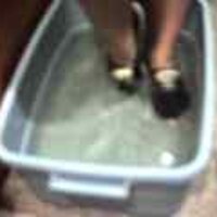  : Gallery : original : 2001 : 08 : T_wet124.jpg