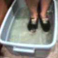  : Gallery : original : 2001 : 08 : T_wet125.jpg