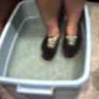  : Gallery : original : 2001 : 08 : T_wet129.jpg