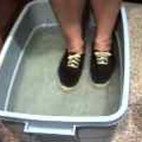  : Gallery : original : 2001 : 08 : T_wet132.jpg