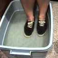  : Gallery : original : 2001 : 08 : T_wet133.jpg