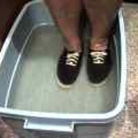  : Gallery : original : 2001 : 08 : T_wet134.jpg