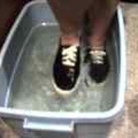  : Gallery : original : 2001 : 08 : T_wet136.jpg