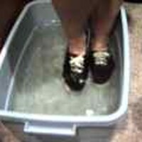  : Gallery : original : 2001 : 08 : T_wet137.jpg