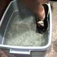  : Gallery : original : 2001 : 08 : T_wet141.jpg