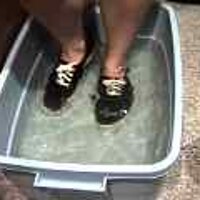  : Gallery : original : 2001 : 08 : T_wet145.jpg