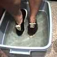  : Gallery : original : 2001 : 08 : T_wet146.jpg