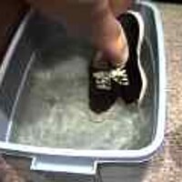  : Gallery : original : 2001 : 08 : T_wet147.jpg