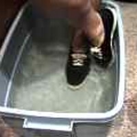  : Gallery : original : 2001 : 08 : T_wet148.jpg