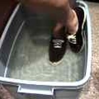  : Gallery : original : 2001 : 08 : T_wet152.jpg