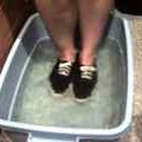  : Gallery : original : 2001 : 08 : T_wet157.jpg