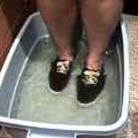  : Gallery : original : 2001 : 08 : T_wet158.jpg