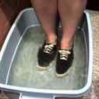  : Gallery : original : 2001 : 08 : T_wet161.jpg
