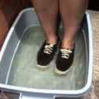  : Gallery : original : 2001 : 08 : T_wet162.jpg