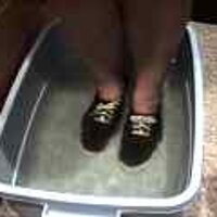  : Gallery : original : 2001 : 08 : T_wet163.jpg