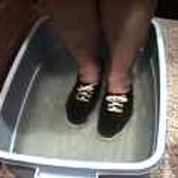  : Gallery : original : 2001 : 08 : T_wet167.jpg