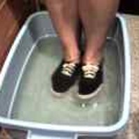  : Gallery : original : 2001 : 08 : T_wet169.jpg