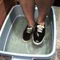  : Gallery : original : 2001 : 08 : T_wet170.jpg