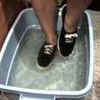  : Gallery : original : 2001 : 08 : T_wet172.jpg
