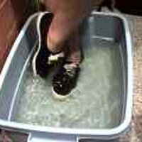  : Gallery : original : 2001 : 08 : T_wet175.jpg