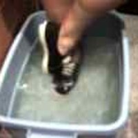  : Gallery : original : 2001 : 08 : T_wet176.jpg