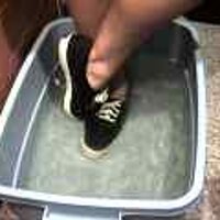  : Gallery : original : 2001 : 08 : T_wet177.jpg