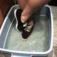  : Gallery : original : 2001 : 08 : T_wet178.jpg