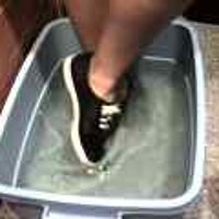  : Gallery : original : 2001 : 08 : T_wet179.jpg