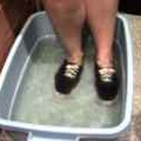  : Gallery : original : 2001 : 08 : T_wet181.jpg