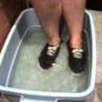  : Gallery : original : 2001 : 08 : T_wet182.jpg