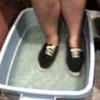  : Gallery : original : 2001 : 08 : T_wet184.jpg