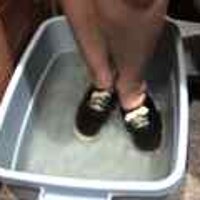  : Gallery : original : 2001 : 08 : T_wet185.jpg