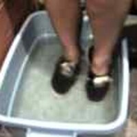  : Gallery : original : 2001 : 08 : T_wet188.jpg