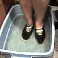 : Gallery : original : 2001 : 08 : T_wet189.jpg