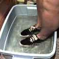  : Gallery : original : 2001 : 08 : T_wet193.jpg