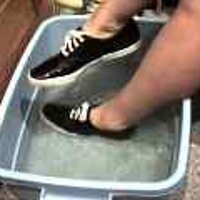  : Gallery : original : 2001 : 08 : T_wet195.jpg