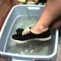  : Gallery : original : 2001 : 08 : T_wet196.jpg