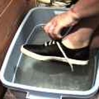  : Gallery : original : 2001 : 08 : T_wet201.jpg