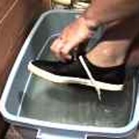  : Gallery : original : 2001 : 08 : T_wet203.jpg