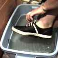  : Gallery : original : 2001 : 08 : T_wet204.jpg
