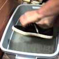  : Gallery : original : 2001 : 08 : T_wet206.jpg