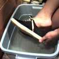  : Gallery : original : 2001 : 08 : T_wet208.jpg