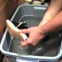  : Gallery : original : 2001 : 08 : T_wet209.jpg